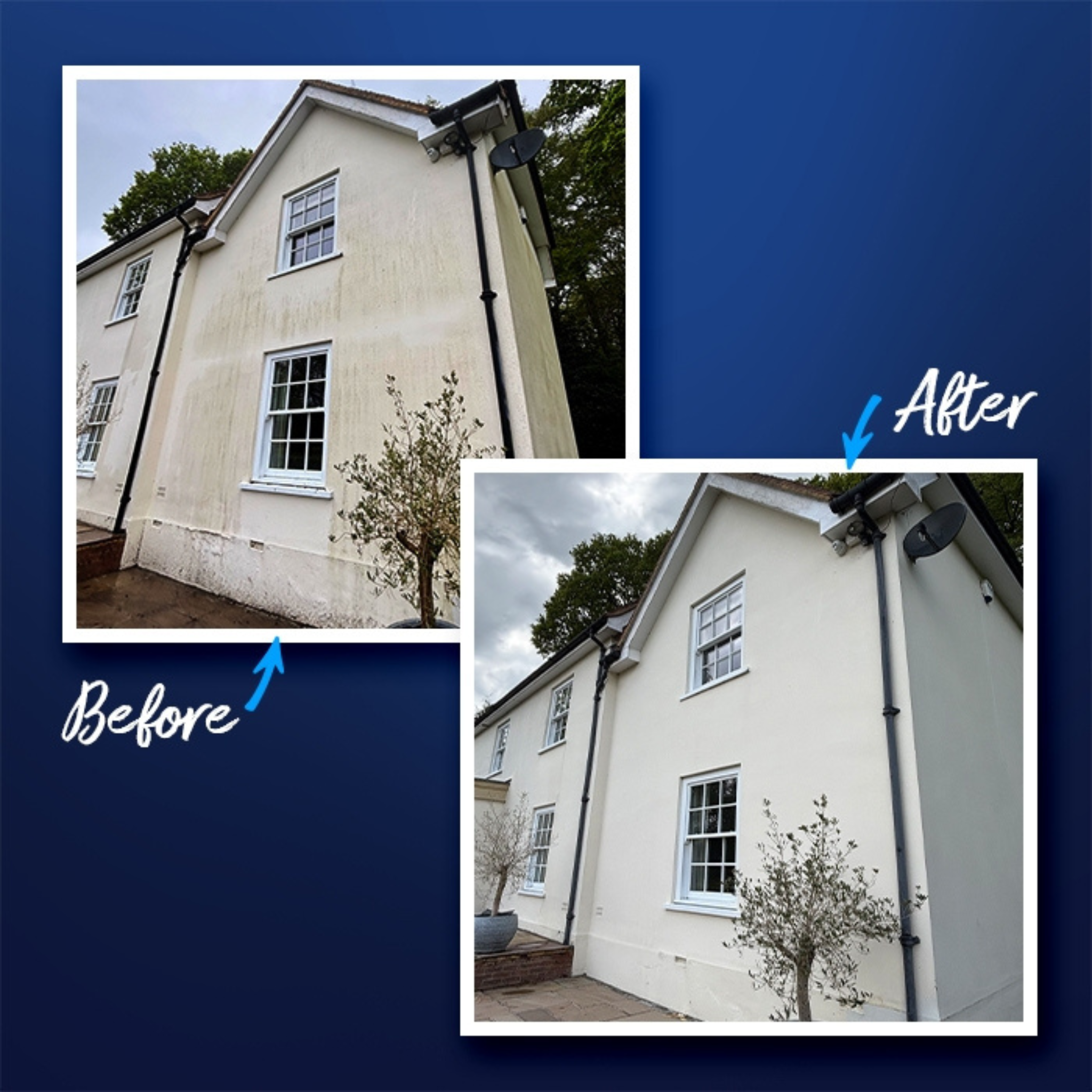 Soft Wash Biocide Pro - DDAC-Based Professional Grade Biocide
